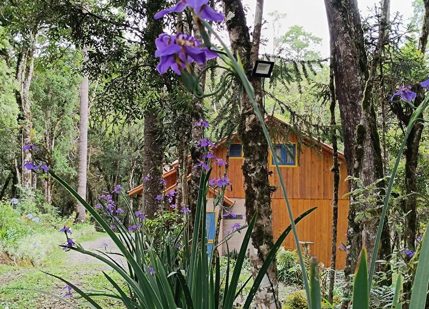 Chalé Morada Alma Gêmea Campo Alegre